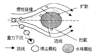 圖片19.png